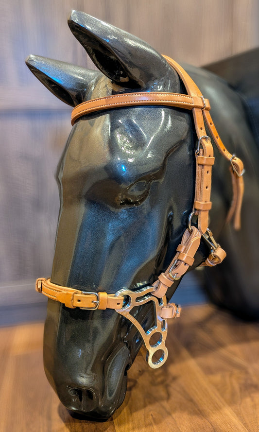 Hackamore Bridle