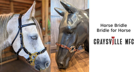 Bridle for horse