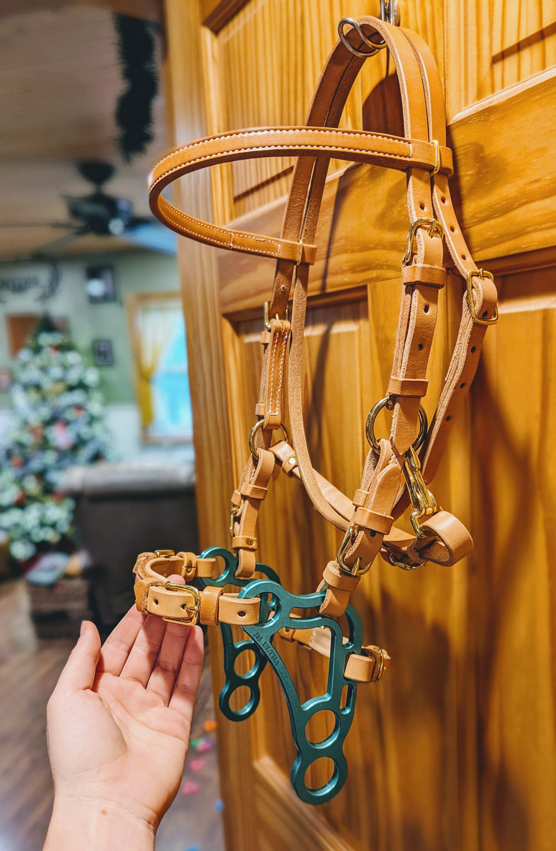 Sidepull and Bitless Bridles: Western Comfort and Control Without the Bit
